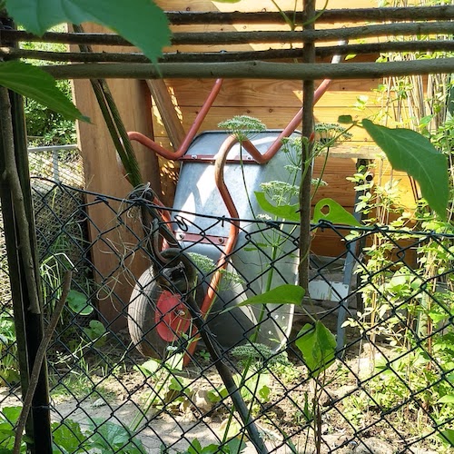 Ein Blick über den Zaun zeigt eine abgestellte Schubkarre